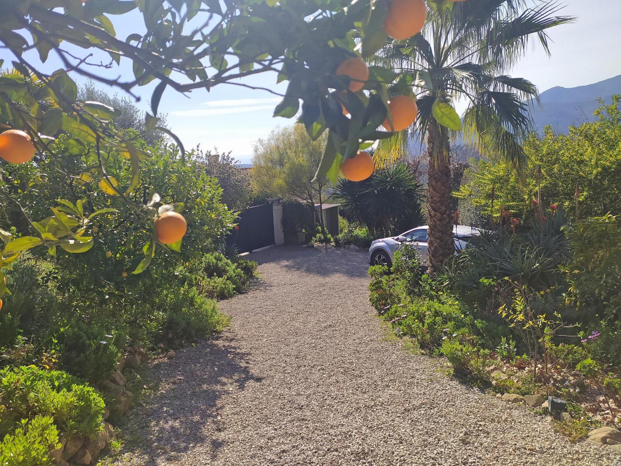 456 Chemin De La Pinede Apartamento Menton Exterior foto