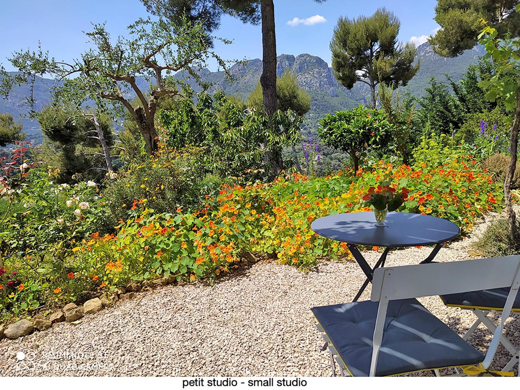 456 Chemin De La Pinede Apartamento Menton Exterior foto