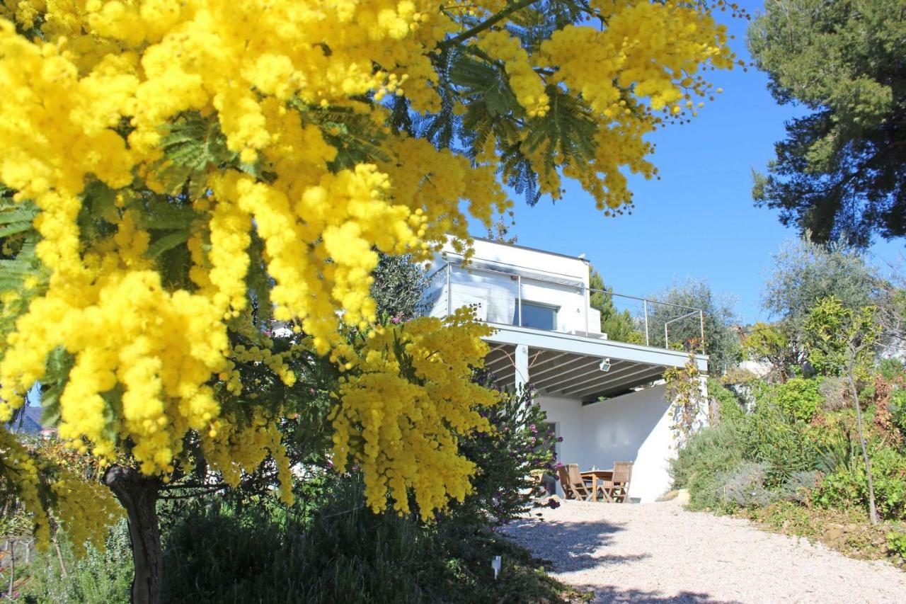 456 Chemin De La Pinede Apartamento Menton Exterior foto